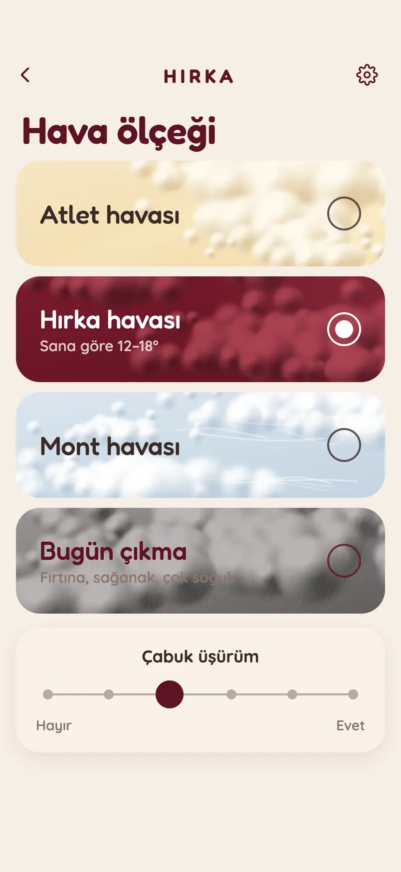 Hava ölçeği ekranı